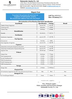 STERILIZE LOT 0920 (2025-01-28)